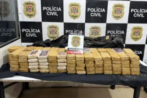 droga escondida em pneus sao roque
