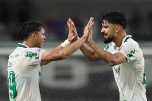 palmeiras