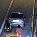 atropelamento castello