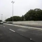 avenida pirarucu