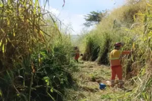 combate queimadas ecovias