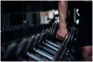 estudo da usp sobre ganho de massa muscular com musculação e cardio