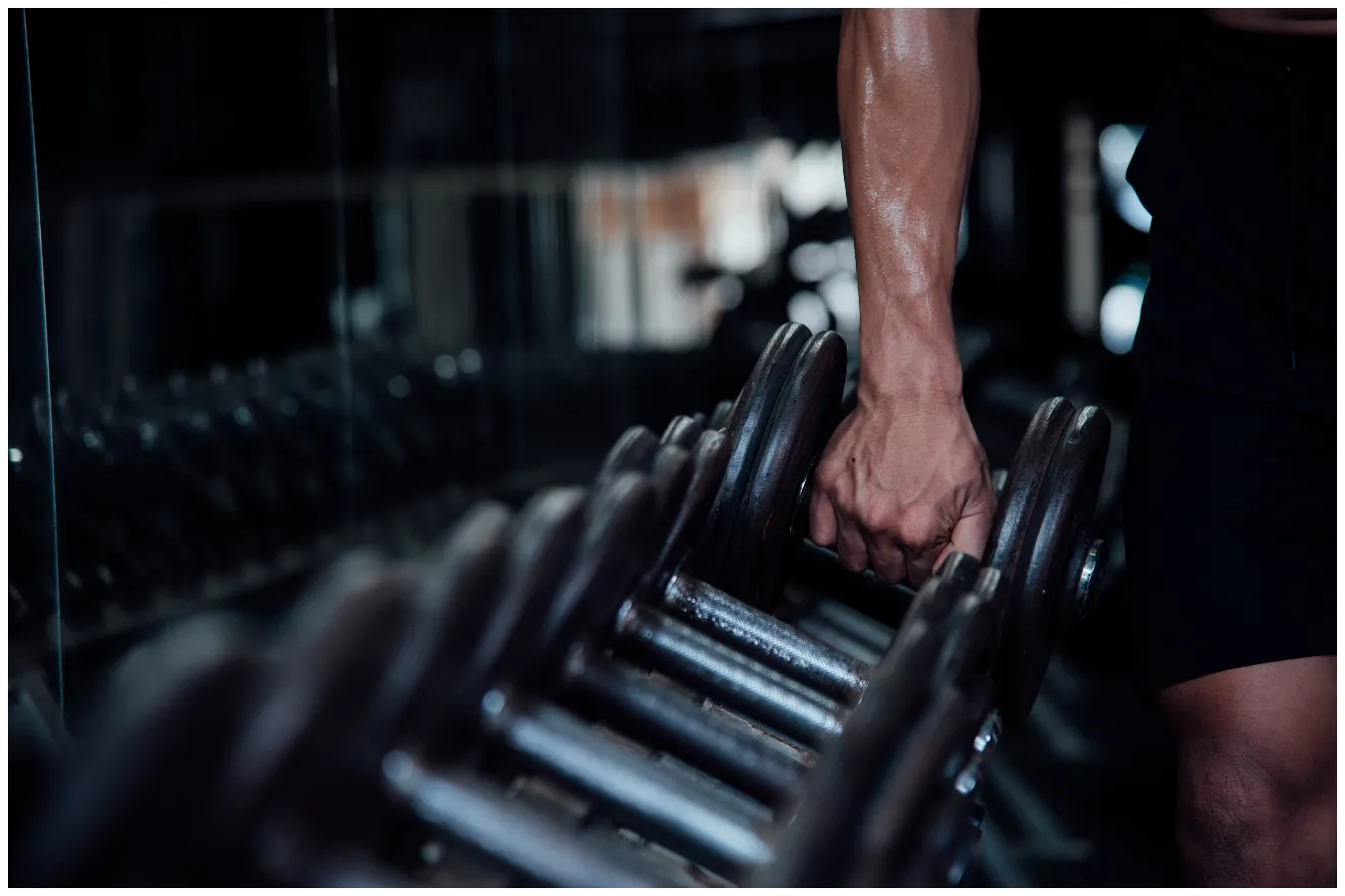 estudo da usp sobre ganho de massa muscular com musculação e cardio
