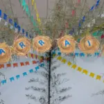 festa junina em cotia