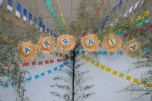 festa junina em cotia