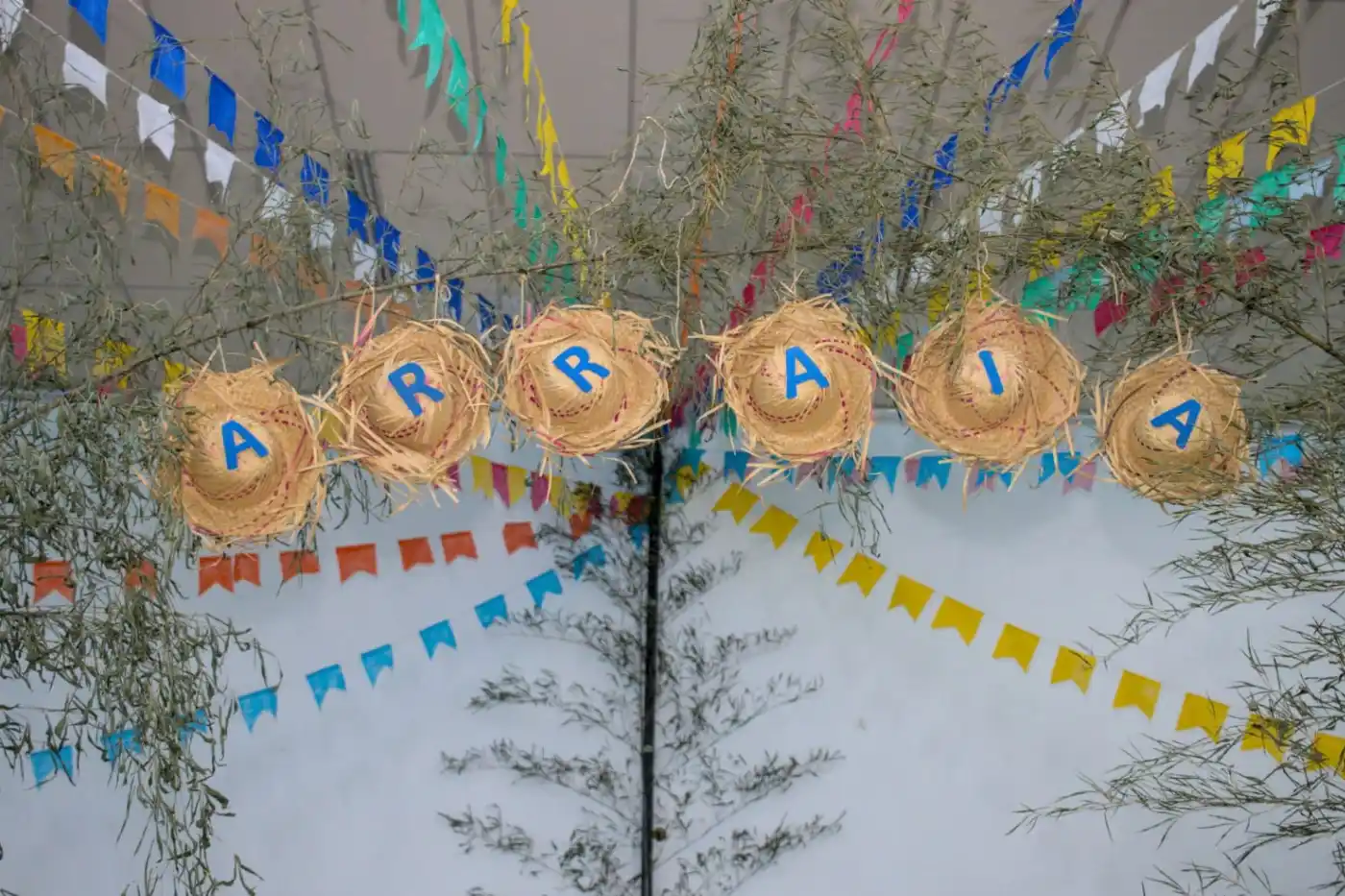 festa junina em cotia