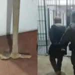 homem ataca vizinho com picareta itapevi