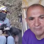 lealdade de cadela em santana de parnaiba