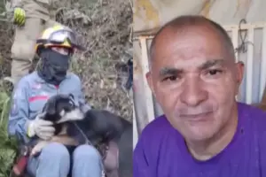 lealdade de cadela em santana de parnaiba