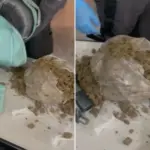 preso com maconha na mochila jandira