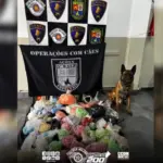 apreensão drogas osasco