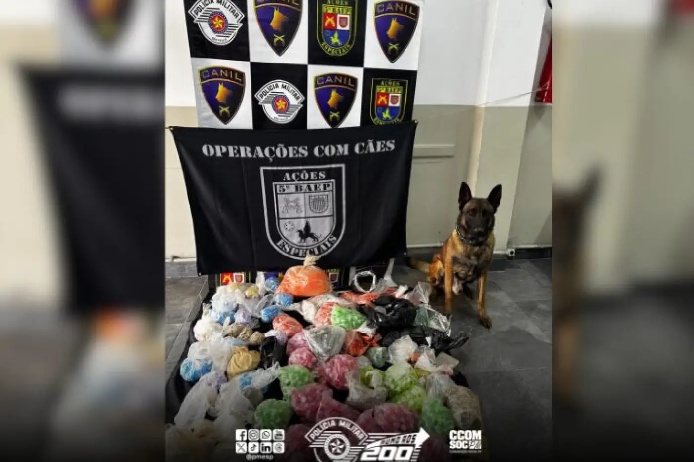 apreensão drogas osasco