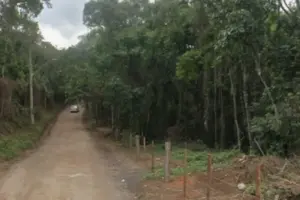 corpo encontrado em estrada de cotia