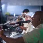 cultura cotia