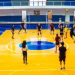 esportes volei cotia