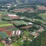 feira de agronegocio em cotia feiagro