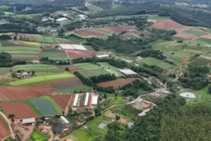 feira de agronegocio em cotia feiagro