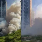 incendio atinge vegetacao no jaguaribe em osasco
