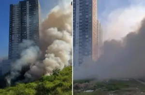incendio atinge vegetacao no jaguaribe em osasco