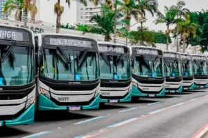 novos ônibus