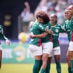 palmeiras f