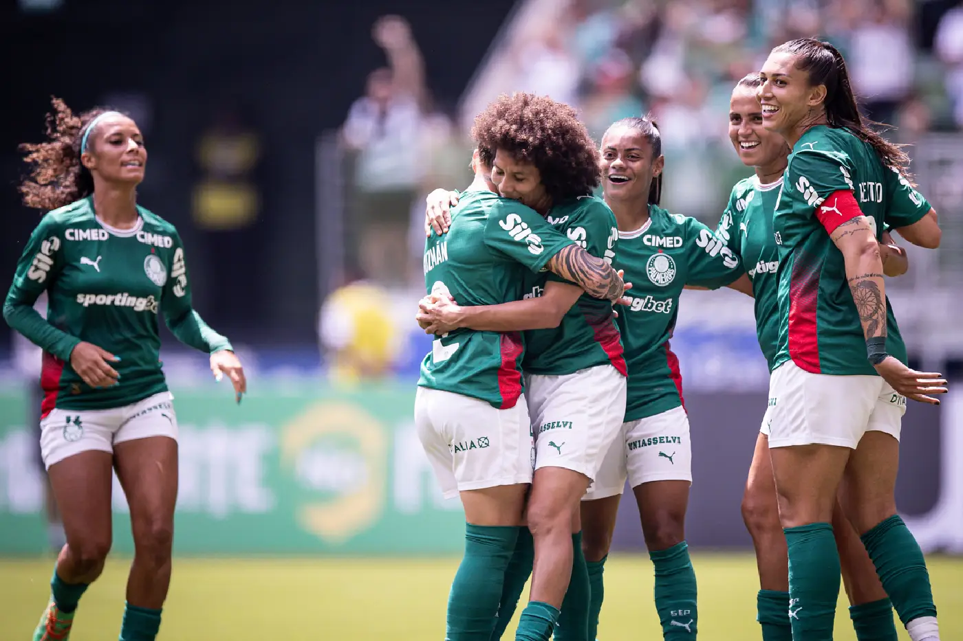 palmeiras f