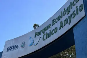 parque chico anysio