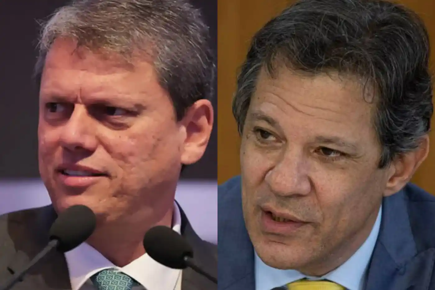 tarcisio e fernando haddad