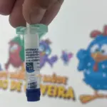 vacina pneumo