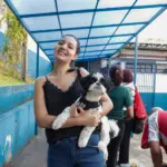 castração carapicuíba