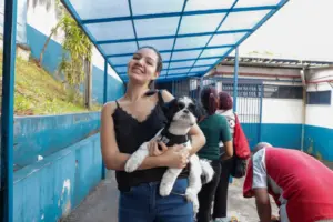 castração carapicuíba
