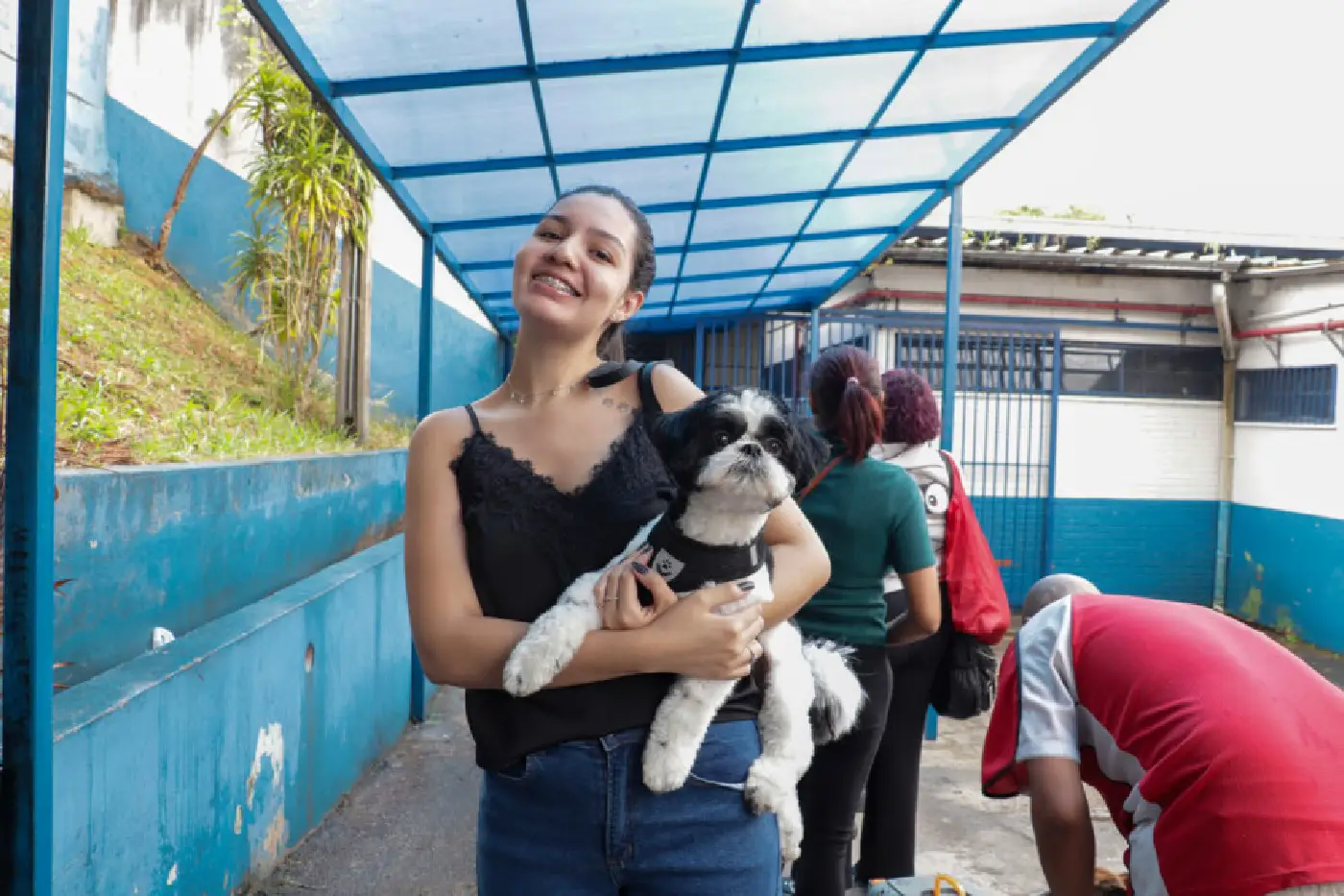 castração carapicuíba