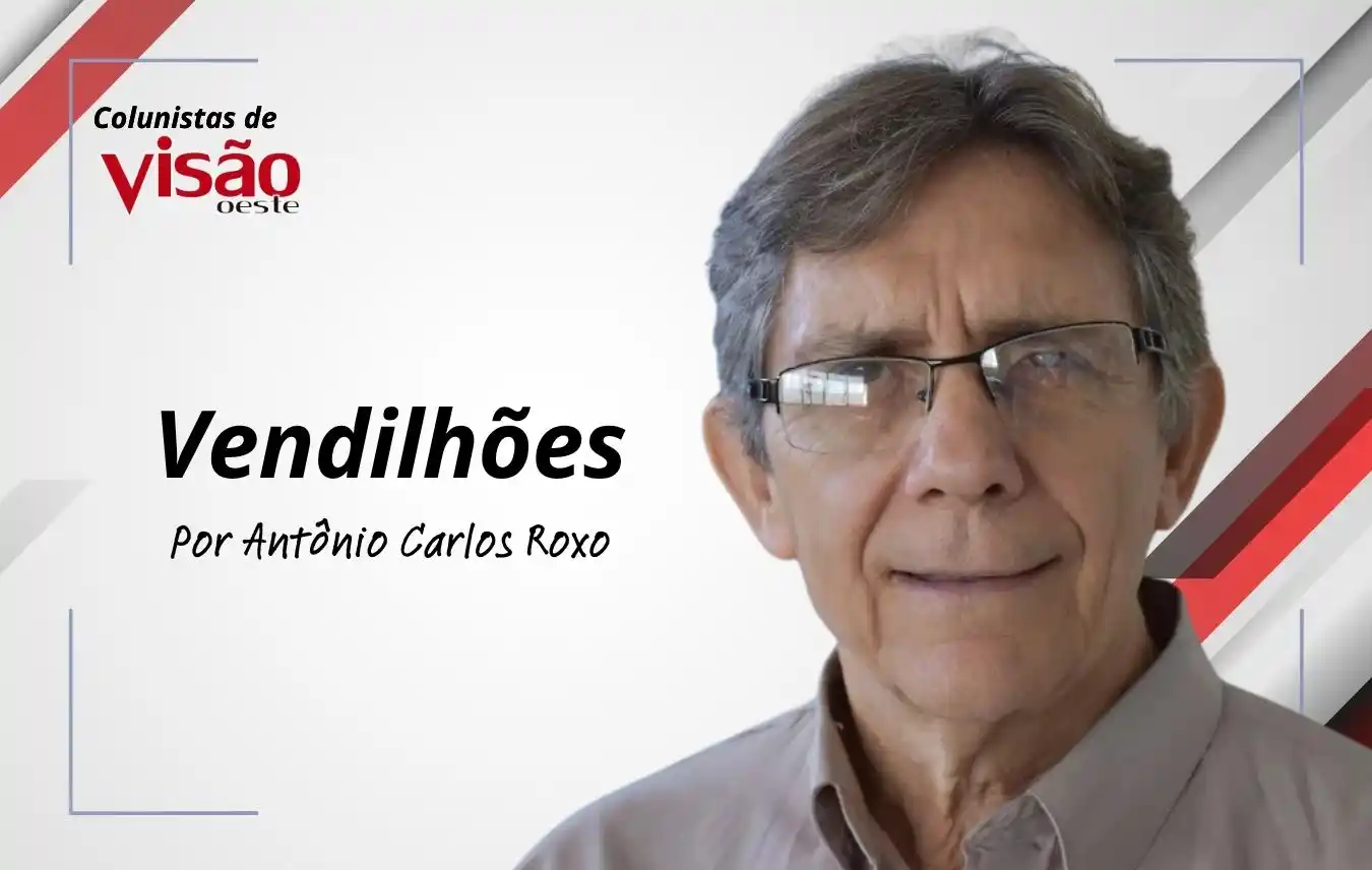 colunistas visão roxo (6)