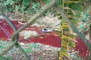 dono de fabrica preso rio cotia