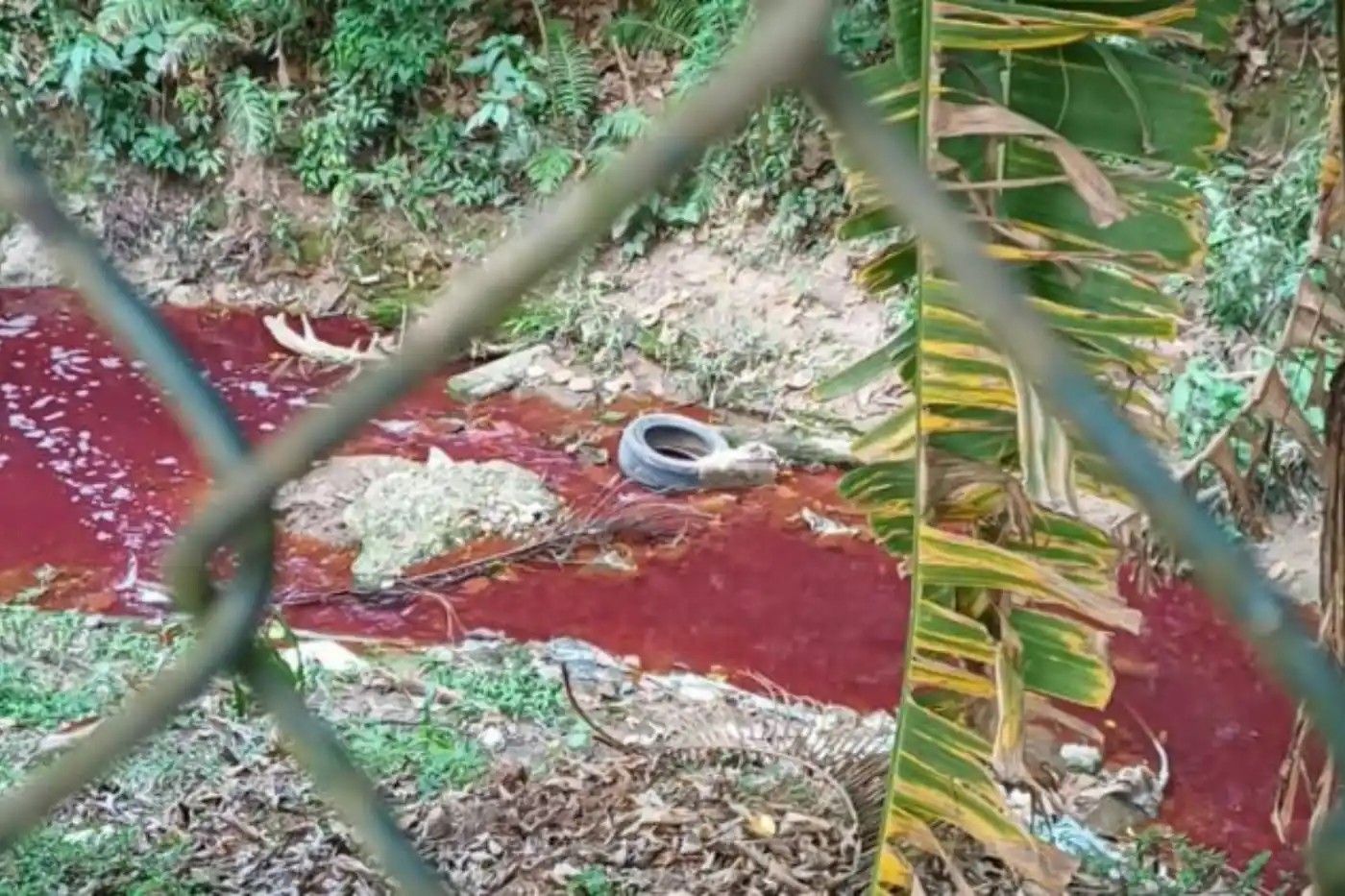 dono de fabrica preso rio cotia