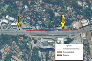 obras raposo