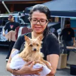 pet day cioeste