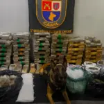 policia apreende 200 kg de drogas sp