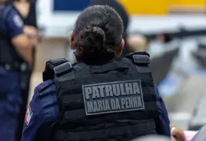 proteção segurança mulheres maria da penha