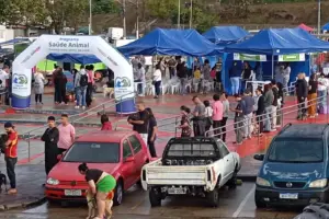 saúde animal barueri