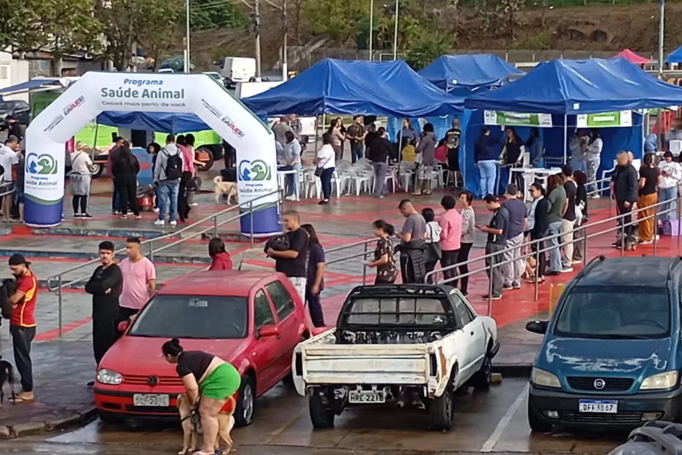 saúde animal barueri