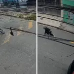 tentativa de roubo troca de tiros carapicuiba