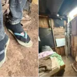 trabalhadores resgatados situacao analoga a escravidao em cotia