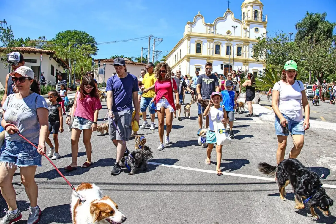 cãominhada santana de parnaíba