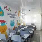 curso gratuito de banho e tosa itapevi