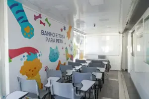 curso gratuito de banho e tosa itapevi