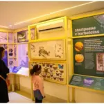 exposição gratuita planeta inseto no instituto biológico em são paulo