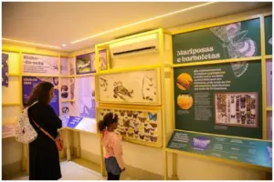 exposição gratuita planeta inseto no instituto biológico em são paulo