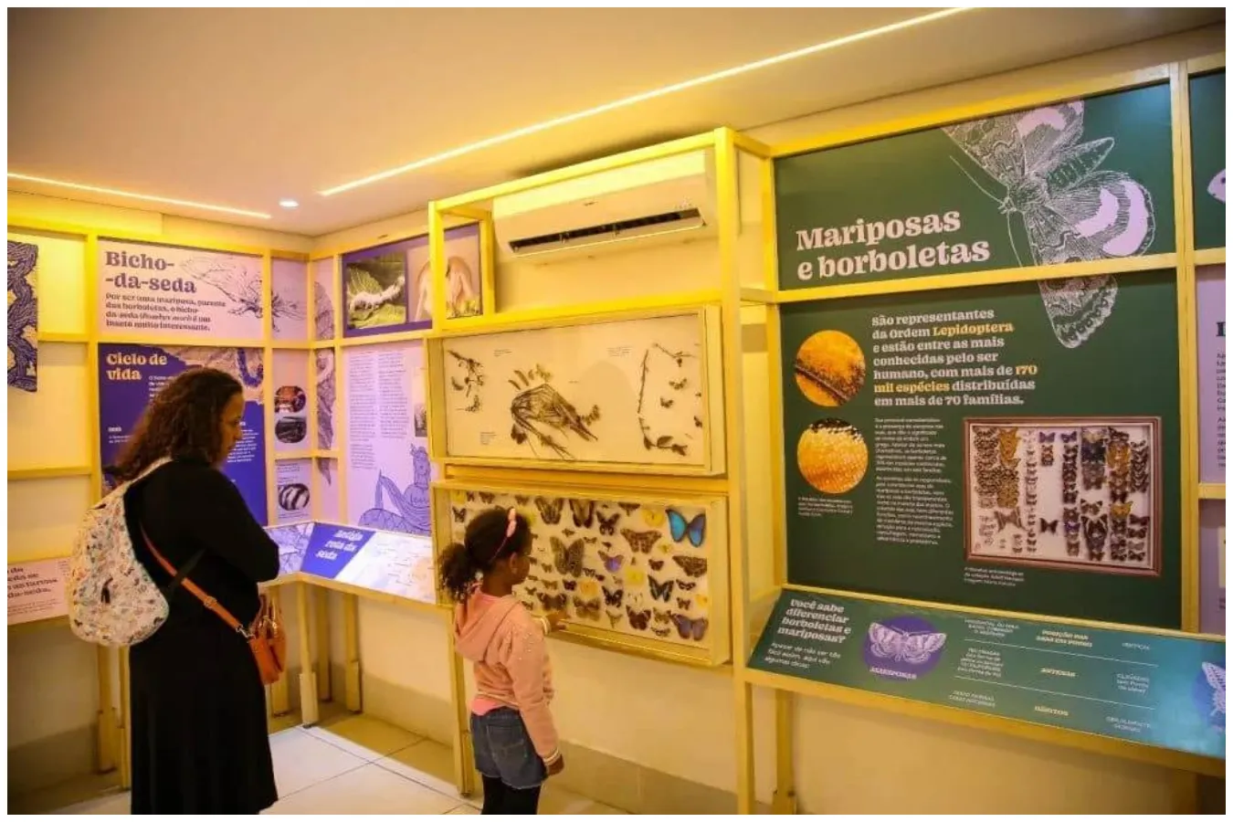 exposição gratuita planeta inseto no instituto biológico em são paulo