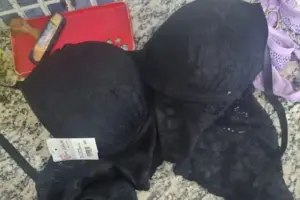 lingerie jandira